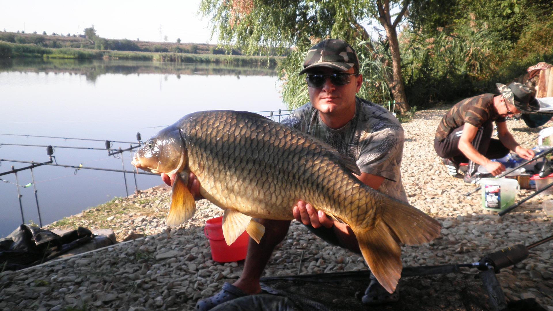 Tancabesti - p9140160.JPG